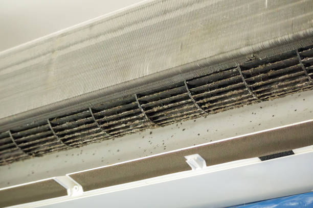 Best Ventilation System Cleaning in Cherry Hills Village, CO